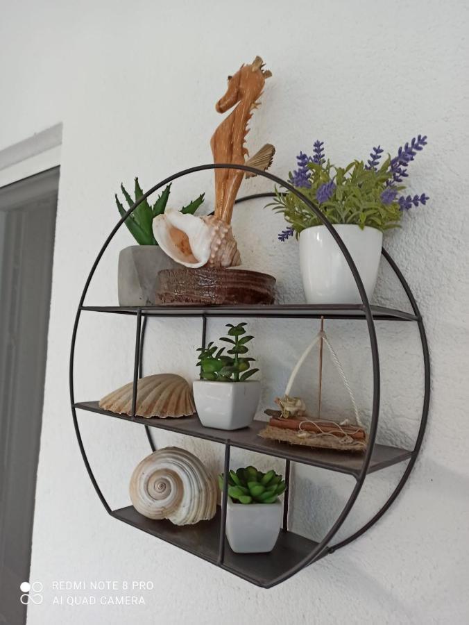 Apartman Robertino 1966 Makarska Extérieur photo