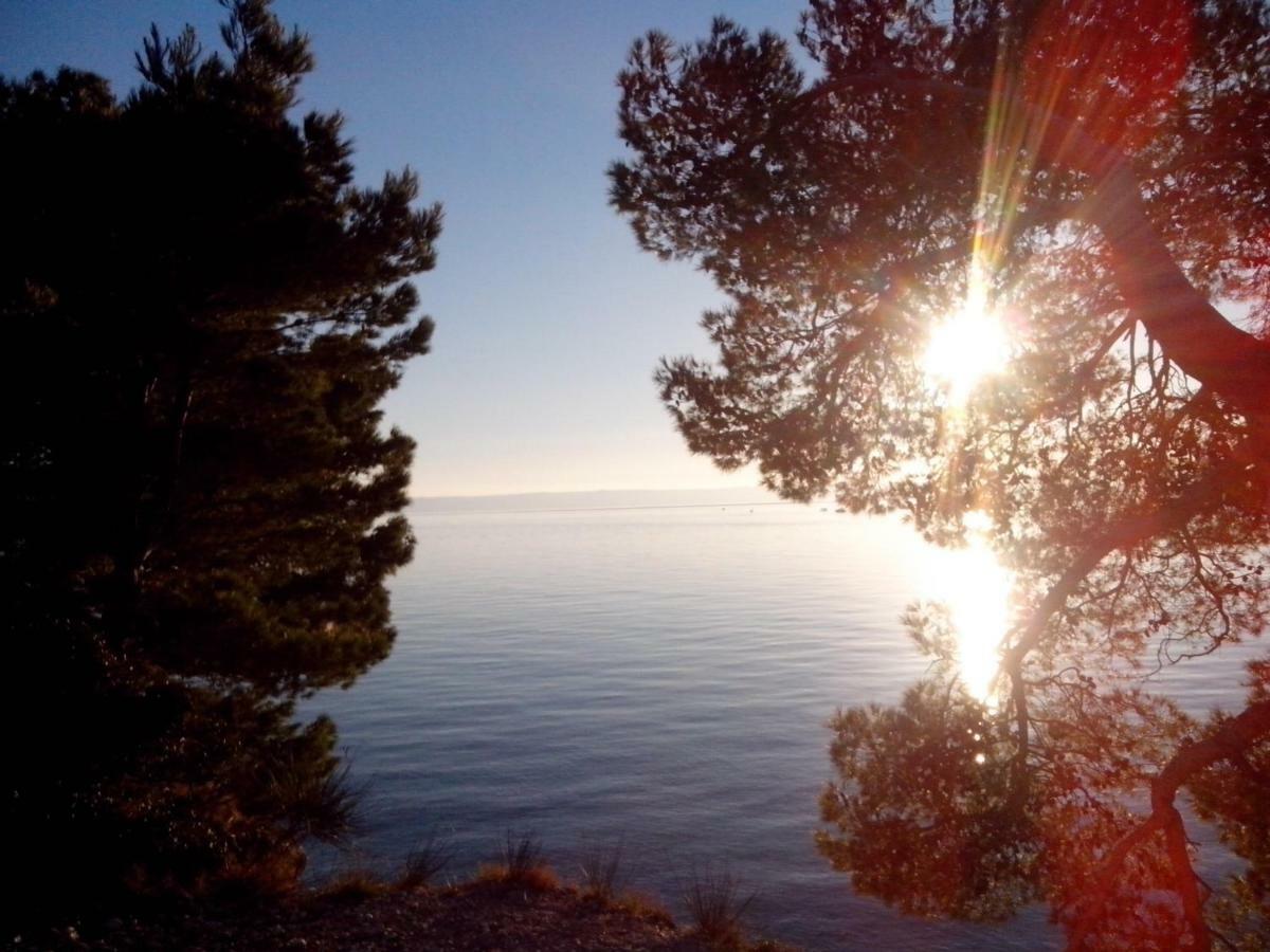 Apartman Robertino 1966 Makarska Extérieur photo